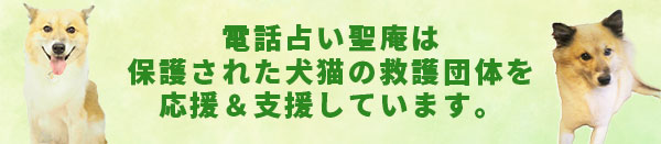 犬猫の救護団体